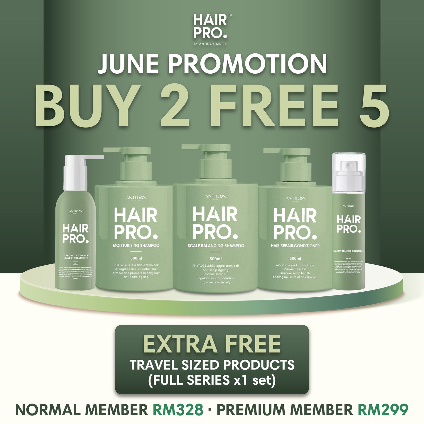 JUNE HAIRPRO RM328 PACKAGE BUY 2 FREE 5