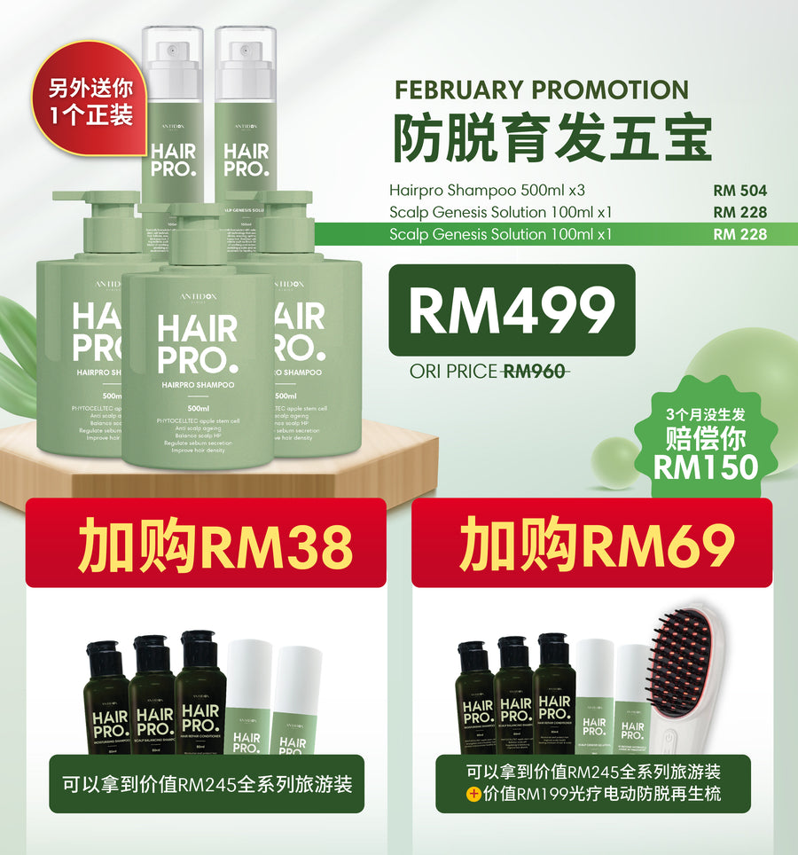 (FEB 2025) [HAIRPRO - MONTHLY] PROMOTION PACKAGE